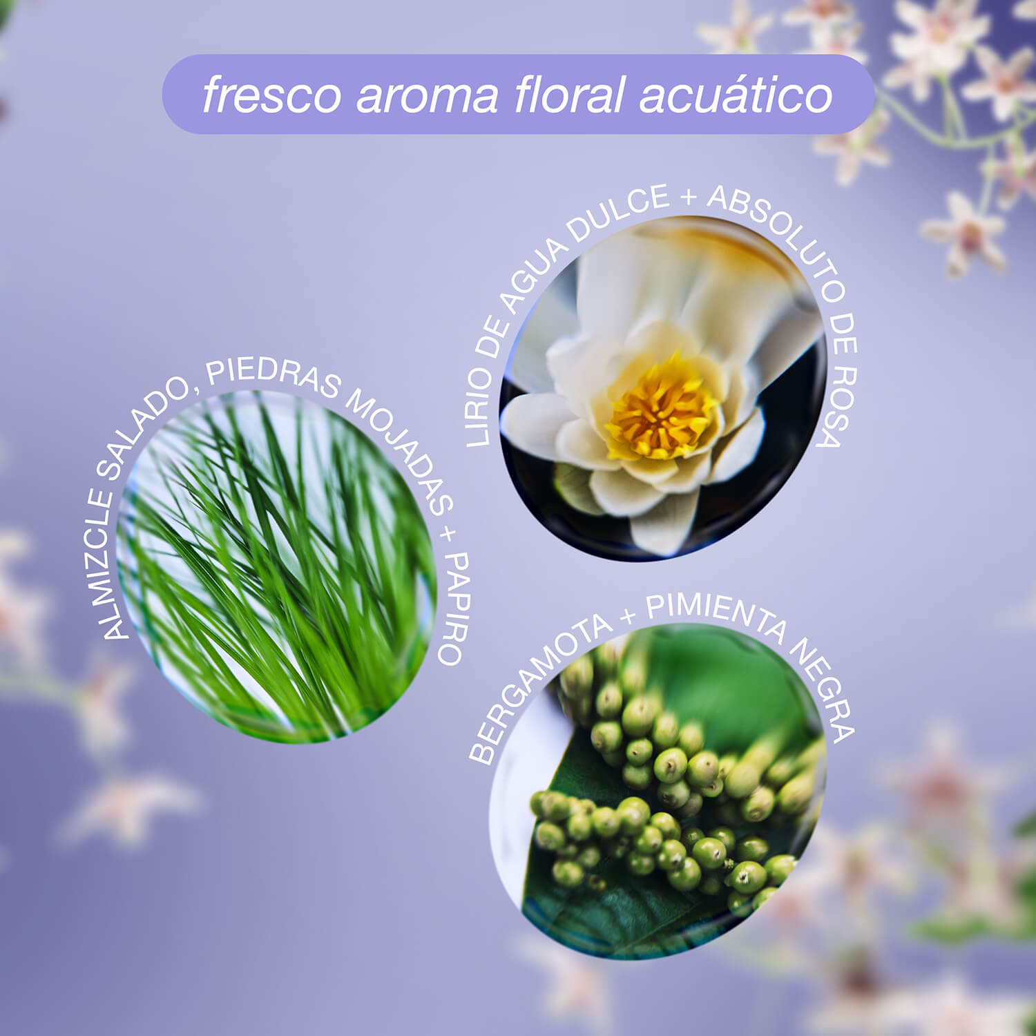 MOLECULAR REPAIR LEAVE-IN MASK K18 X FUTURE SOCIETY (MASCARILLA PARA CABELLO)